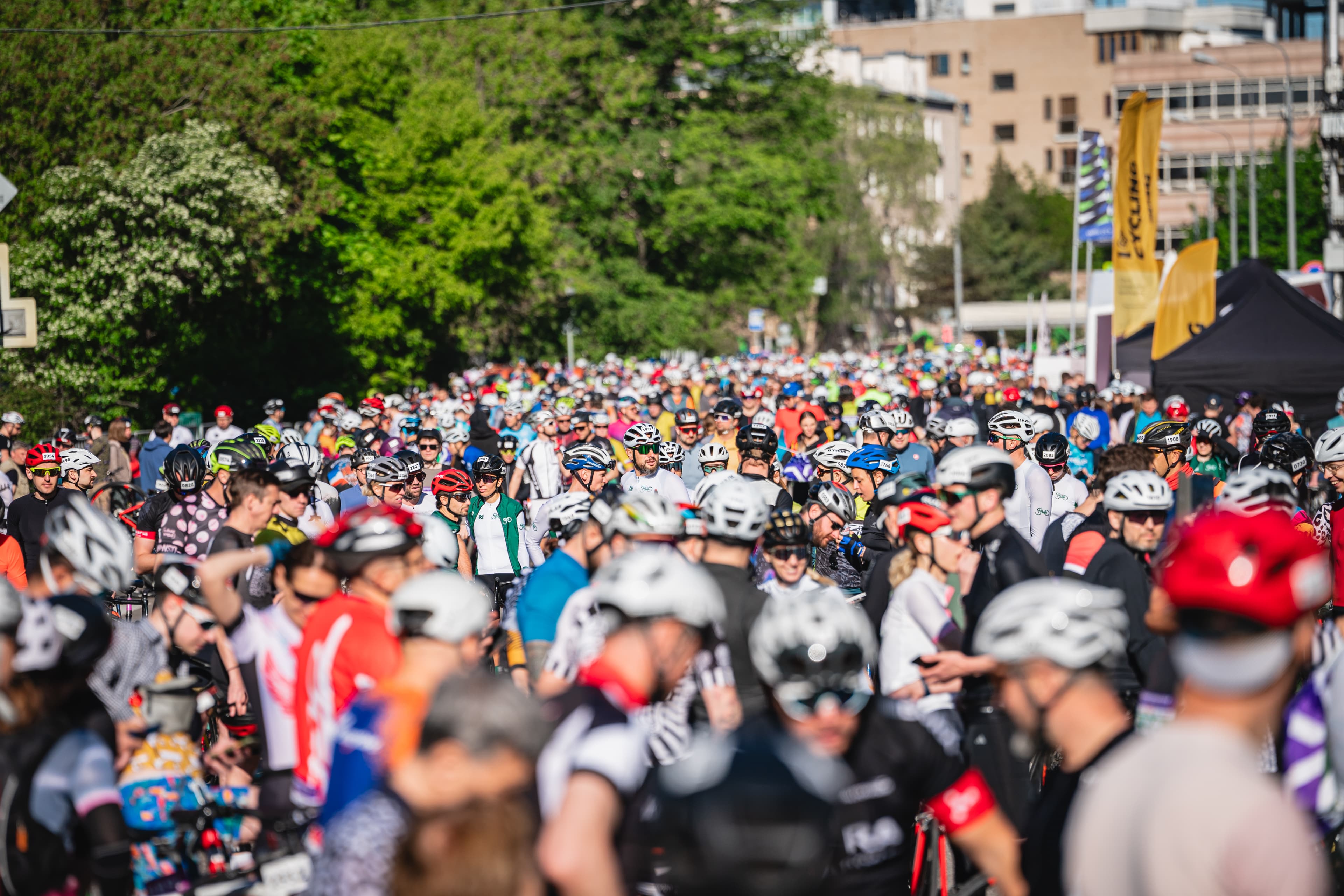 Северная столица, 2026 год